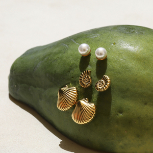 J & D 18K Vàng Tấm Thép Không Gỉ Stud Bông Tai Vỏ Hạt Conch Đa Năng 3 cặp/bộ Bông Tai - Product Image 2