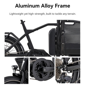 Bicicleta familiar de dos ruedas, bicicleta de carga con batería de litio de cola larga, entrega eléctrica, bicicleta de carga eléctrica de larga duración - Product Image 5