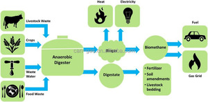 Système intégré membrane et PSA pour la récupération du CO2/élimination du H2S/amélioration <span class=keywords><strong>de</strong></span> la qualité du biogaz/production <span class=keywords><strong>de</strong></span> biométhane/<span class=keywords><strong>capture</strong></span> du <span class=keywords><strong>carbone</strong></span> - Product Image 4