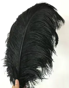 Pour les décorations 60-65cm plume d'autruche noire en gros grandes plumes d'autruche naturelles moelleuses pour décor de carnaval de fête d'événement