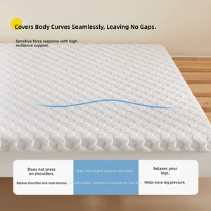 High-density Knitted Memory Foam <strong>Mattress</strong> <strong>Topper</strong> Thickened Tatami-style Suitable <strong>for</strong> <strong>Single</strong> <strong>Beds</strong> Student Dorms Home - Product Image 3