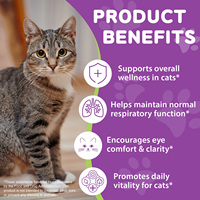 Worafy L-Lysine personnalisé pour chats – Compléments liquides pour animaux de compagnie, vitamines pour la clarté et l'énergie, soins et suppléments pour la santé des chats