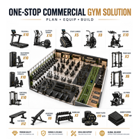 Équipement de gym de qualité supérieure TOPTONS, solution tout-en-un, design d'intérieur professionnel pour les salles de sport de luxe, fournisseur d'usine.