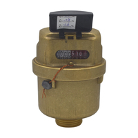 Vertical Volumetric Brass Water Meter OEM Stable Flow Measurement for Residential & Municipal Water Use