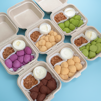 Boîte Bento en Pulpe à Double Compartiment Xiaohongshu pour Sauce et Mochi, 850 ml, avec Couvercle Transparent et Petite Coupe à Sauce