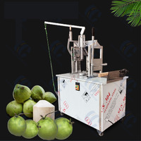 Machine Industrielle à Éplucher la Peau de Noix de Coco, Machine à Découper les Noix de Coco à Diamant