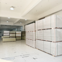 Lámina de Acrílico Transparente Ecológica (PMMA) 1220x2440mm, Grosor de 1-30mm, Corte y Moldeado Personalizados, Decoración de Techos para Exteriores, Marca LANXINXI