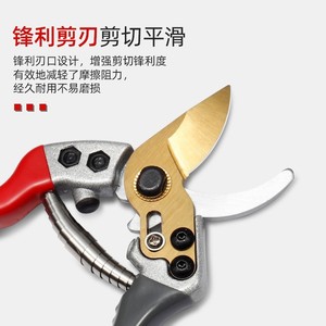 Cisailles de taille Guanglong Works, lame en acier allié de 65 mm, diamètre de coupe de 30 à 50 mm, pour arbres fruitiers et usage en jardin - Product Image 3