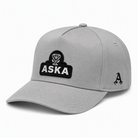 Casquette de baseball classique à 5 panneaux en coton doux de qualité supérieure, réglable, pour l'entraînement d'équipe, vente en gros, fabrication OEM, broderie 3D