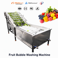 Luchtbel Wasmachine Gebruikt Voor Groente Fruit Schoonmaken Kip Reinigingsmachine Bevroren Voedsel Machine