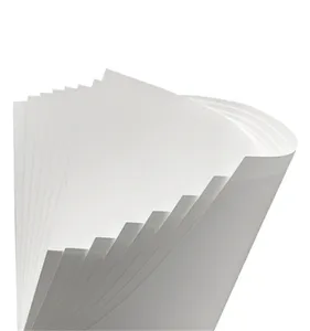 Competitive Price Single Side Coated FBB Duplex Paper For Cosmetics Box