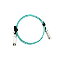 25G SFP28 AOC Aktif Optik Kablo 1-100M Özel Uzunlukta Hot-plug Tak Çalıştır 5G Çok Modlu Veri Merkezi Anahtarı için Fabrikadan Doğrudan
