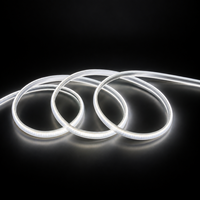 Support de bande LED flexible haute densité COB, tube étanche IP65, fabricant pour rétroéclairage TV, éclairage décoratif de jardin et de maison