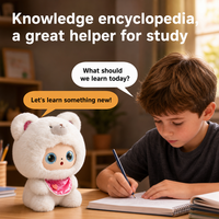 Robot compagnon IA interactif, jouet en peluche émotionnel avec dialogue vocal, contrôle vocal, cadeau éducatif STEM pour enfants de 8 ans et plus, OEM