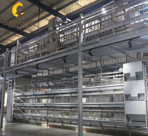 Jaula para Gallinas <span class=keywords><strong>de</strong></span> 3 y 4 Niveles, Jaulas para Pollos Tipo H Galvanizadas en Oferta, Jaula para Gallos Totalmente Automatizada, Equipo para Granjas Avícolas - Product Image 2