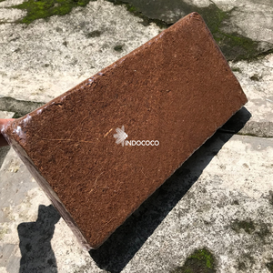 Bloc de cocopeat bio de 1 kg offrant une capacité d'absorption d'humidité supérieure et une aération équilibrée pour une croissance optimale des plantes - Product Image 1