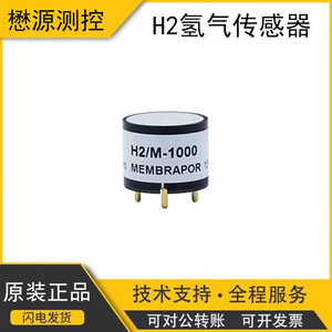 เครื่องตรวจวัดไฮโดรเจน H2/M-1000สวิส0-1000 PPM สำหรับการใช้งานอย่างปลอดภัย - Product Image 5