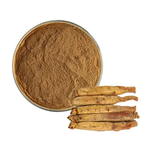 Immune And Anti-Fatigue Deep Scent And High Saponin Content Premium Red Ginseng Extract Powder