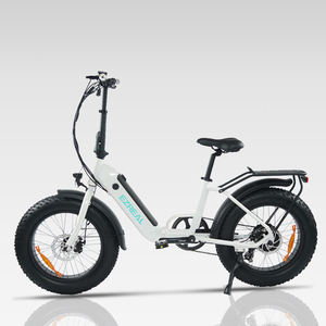 <span class=keywords><strong>EZREAL</strong></span> 20 pulgadas 500 W 10,4 H bicicleta eléctrica plegable Ebike 48V tracción trasera bicicleta eléctrica suspensión plegable E-bike hecho en China - Product Image 1