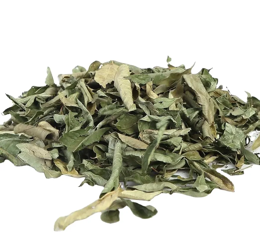 100g 방부제 향신료 대량 원시 말린 영양 카레 잎 나무 Murraya koenigii 잎 판매