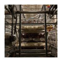 Cages à poules pondeuses de type H entièrement automatiques avec système de retrait automatique du fumier, opération facile, réduction des coûts de main-d'œuvre