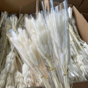Tự Nhiên Pampas Thỏ Đuôi Cỏ Bảo Quản Thỏ Đuôi Cỏ Khô Hoa Bó Hoa Cho Boho Trang Trí Nội Thất - Product Image 3