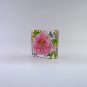 Flores secas reales naturales incrustadas de alta calidad, trébol de plantas, arte de resina colorido, artesanía, recuerdos artesanales - Product Image 2