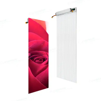 Pantalla Led transparente P2.3 P2.5 P2.6 High Refresh Film Studios Pantalla Led Pared Paneles Led Módulo Fábrica