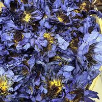 Thé de fleurs de lotus bleues séchées à l'air chaud, naturel, de haute qualité, en gros