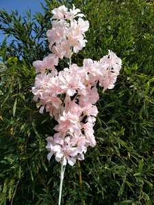 Fiori di ciliegio bianco fiori artificiali di ciliegio fiori di ciliegio colorati fiori di Sakura ciliegio artificiale per San Valentino - Product Image 2