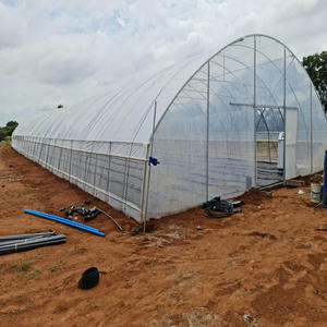 Agriculture Hydroponic <strong>Tunnel</strong> 30 X 100 Greenhouse - Product Image 4