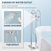 Baignoire sur pied, baignoire sur pied à débit élevé avec buse de pulvérisation rotative, douchette à main en forme de douche
