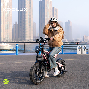 Bicicleta Eléctrica KOOLUX X9 Mini en Oferta, Motor sin Escobillas de Alta Velocidad de 250 W, Neumáticos Gruesos de 16x4.0, 7 Velocidades, Doble Suspensión, 48 V, X9 - Product Image 5