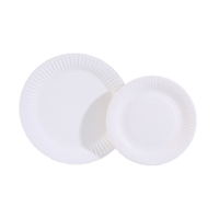 Vaisselle jetable moderne pour mariages, camping, assiettes en papier de différentes couleurs, bagasse en bois pour fêtes d'enfants, fournitures d'hôtel