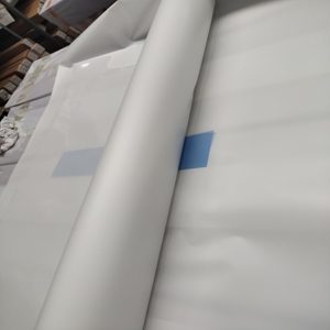 Quảng Cáo Vật Liệu Sexy Polaroid Sữa PET Áp Phích Phim Bf Trung Quốc Cho Ánh Sáng Hộp - Product Image 2