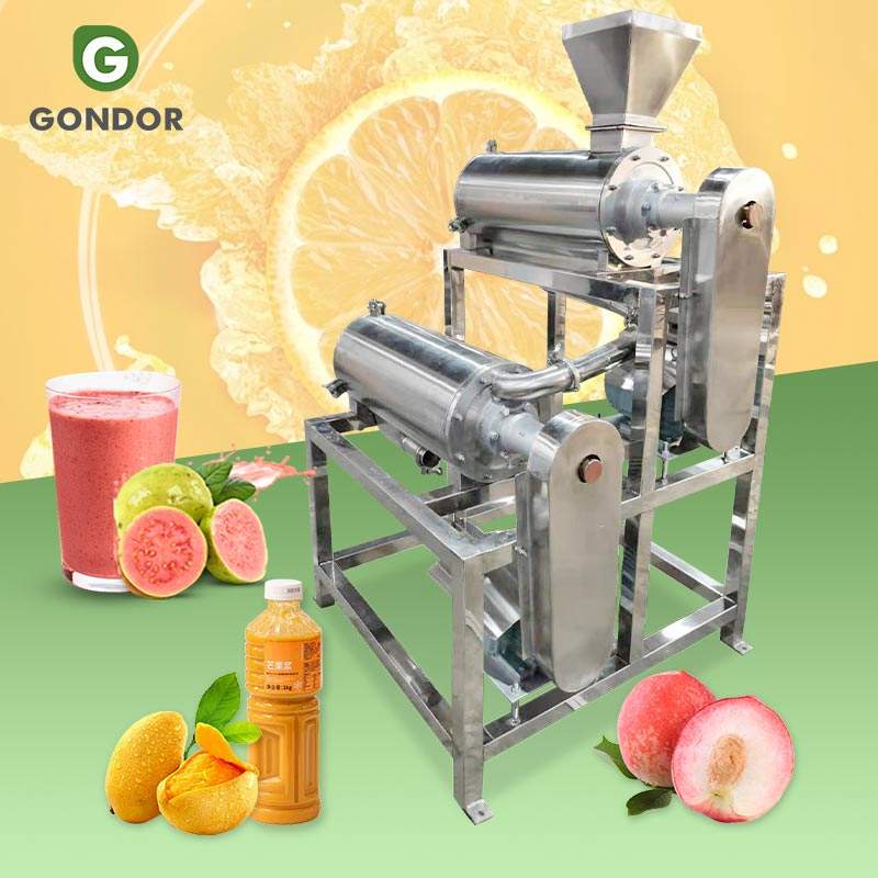 Efficient Make Apple Puree Fruit Processing Solutions