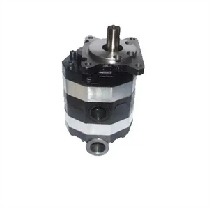 Nueva bomba de aceite de doble engranaje YL original 2CB-FC32/25 2/18 240/250/31.5 2CB-FA16/10 2/2/220 - Product Image 2