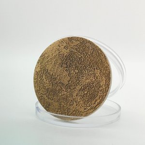 Chất Lượng Cao Tùy Chỉnh Kim Loại Tiền Xu Titan Kẽm Hợp Kim Hai Mặt Tùy Chỉnh Hình Dạng In Kỹ Thuật Số Kinh Doanh Thời Trang Quà Tặng Khuyến Mãi - Product Image 5