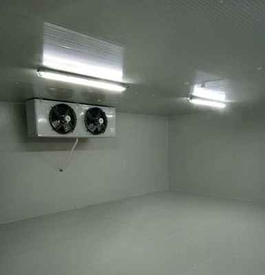 Customized Walk In Cold Storage Cabinets