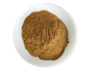 Supplier Organic Herbal Extract 3% Flavone Dandelion Root Extract Powder
