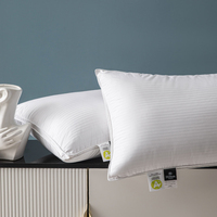 Oreiller personnalisé en duvet d'oie et plumes naturelles, hypoallergénique, écologique, couleur unie, pour hôtel et maison