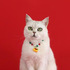 Venta al por mayor de cristal de lujo de Navidad y Halloween decorado <span class=keywords><strong>collar</strong></span> de gato perro - Product Image 3