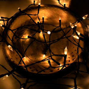 Hot Selling Outdoor Indoor Holiday Decoration <strong>Light</strong> Bulb <strong>Pull</strong> Bubble fairy <strong>String</strong> LED Strip <strong>Light</strong> Christmas Led <strong>Lights</strong> - Product Image 4