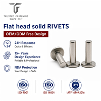 Rivets plats en métal sur mesure TianFang pour tôles OEM générales, finition personnalisée, approvisionnement en vrac OEM ODM, devis rapide