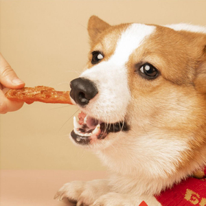 Golosinas y alimentos saludables para perros y gatos al por mayor, dientes limpios secos, pechuga de pollo con palo de cuero crudo, aperitivos para mascotas - Product Image 2