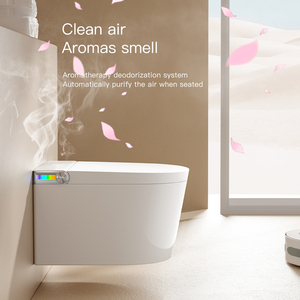Smart Wall Hung <strong>Toilet</strong> Smart <strong>Bidet</strong>, <strong>Toilet</strong> with Wall Hung <strong>Small</strong> Size Automatic Smart <strong>Toilet</strong> - Product Image 5