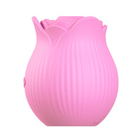 Vibrateur clitoridien rose pour femmes, stimulateur de mamelons et de clitoris, jouet sexuel vibrant pour massage et flirt