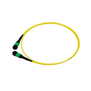 Schlussverkauf 8 FIBRE SM G657.A1 9/125 OS2 MPO/MTP zu MPO/MTP Glasfaser-Patch-Kabel