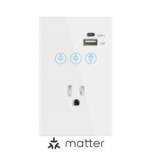 Prise murale intelligente Matter avec panneau en verre trempé, design tactile Tuya, connectivité Wi-Fi, conforme aux réglementations américaines, australiennes et vietnamiennes - Product Image 2