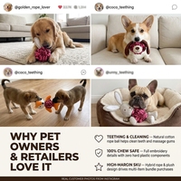 Jouet pour chien en corde de coton, jouet interactif en peluche pour chiot, lapin, renard, pour nettoyer les dents, pour chiens de petite et moyenne taille